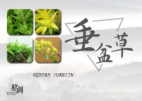 1574944889575111.png image.png