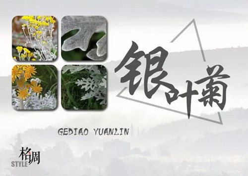 1574944994519375.png image.png