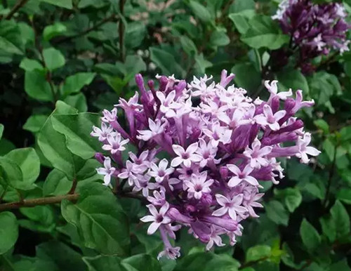 1574945035939954.png image.png